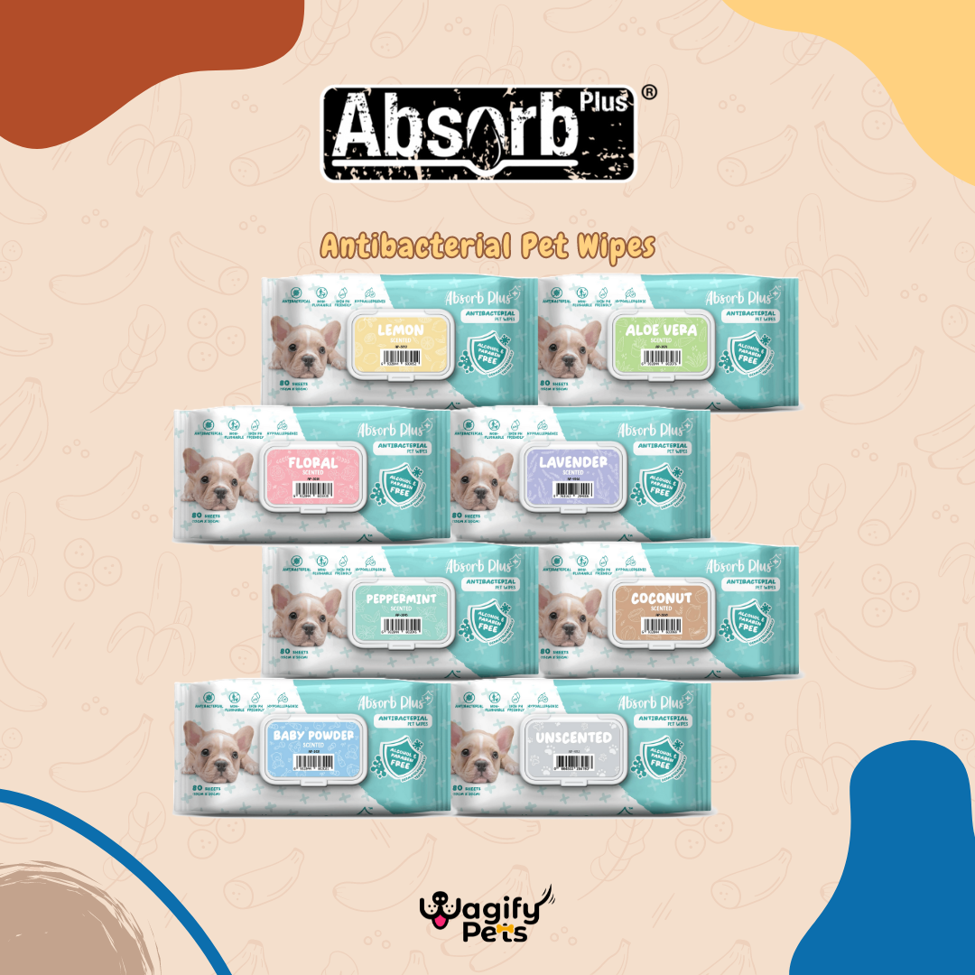 Absorb Plus Anti Bacterial Pet Wipes [80Pcs]