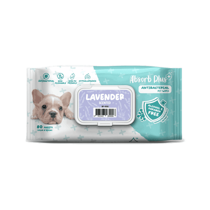 Absorb Plus Anti Bacterial Pet Wipes [80Pcs]